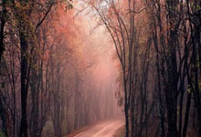 壹号娱乐官网：羽毛球——2025年全国青年锦标赛在安徽合肥开赛.