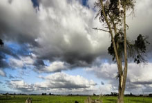 随意评论球员长相，美国网球频道解说员被“无限期停职”环球时报.