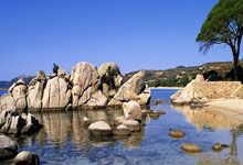 壹号娱乐官网：斯瓦泰克，主场优势？对不起！郑钦文也有胜算.